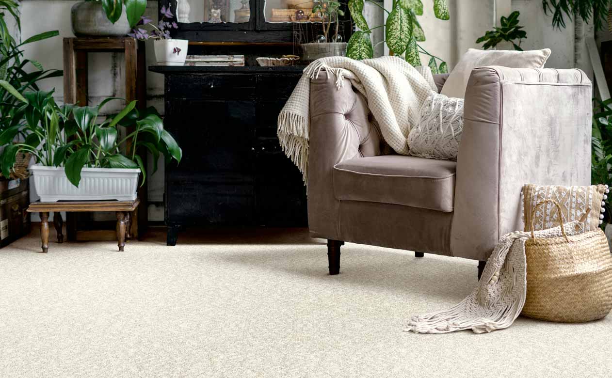 Living room with beige carpet and a velvet accent chair.